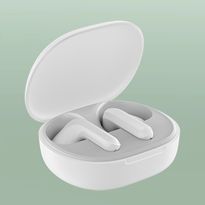 TUV Certified Biodegradable Glass Packaging Bag