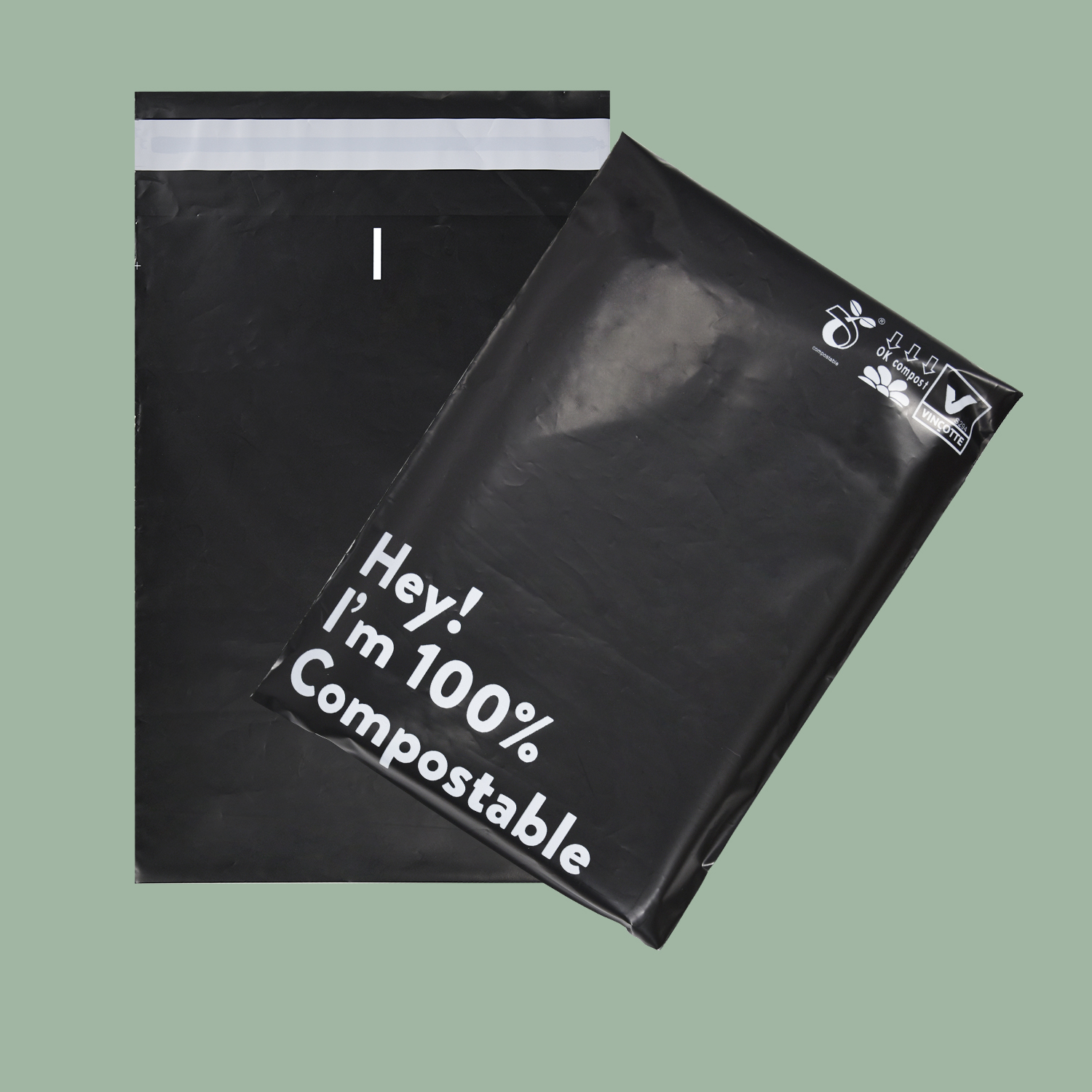 Clothing Product Hot Selling Biodegradable Mailing Bag