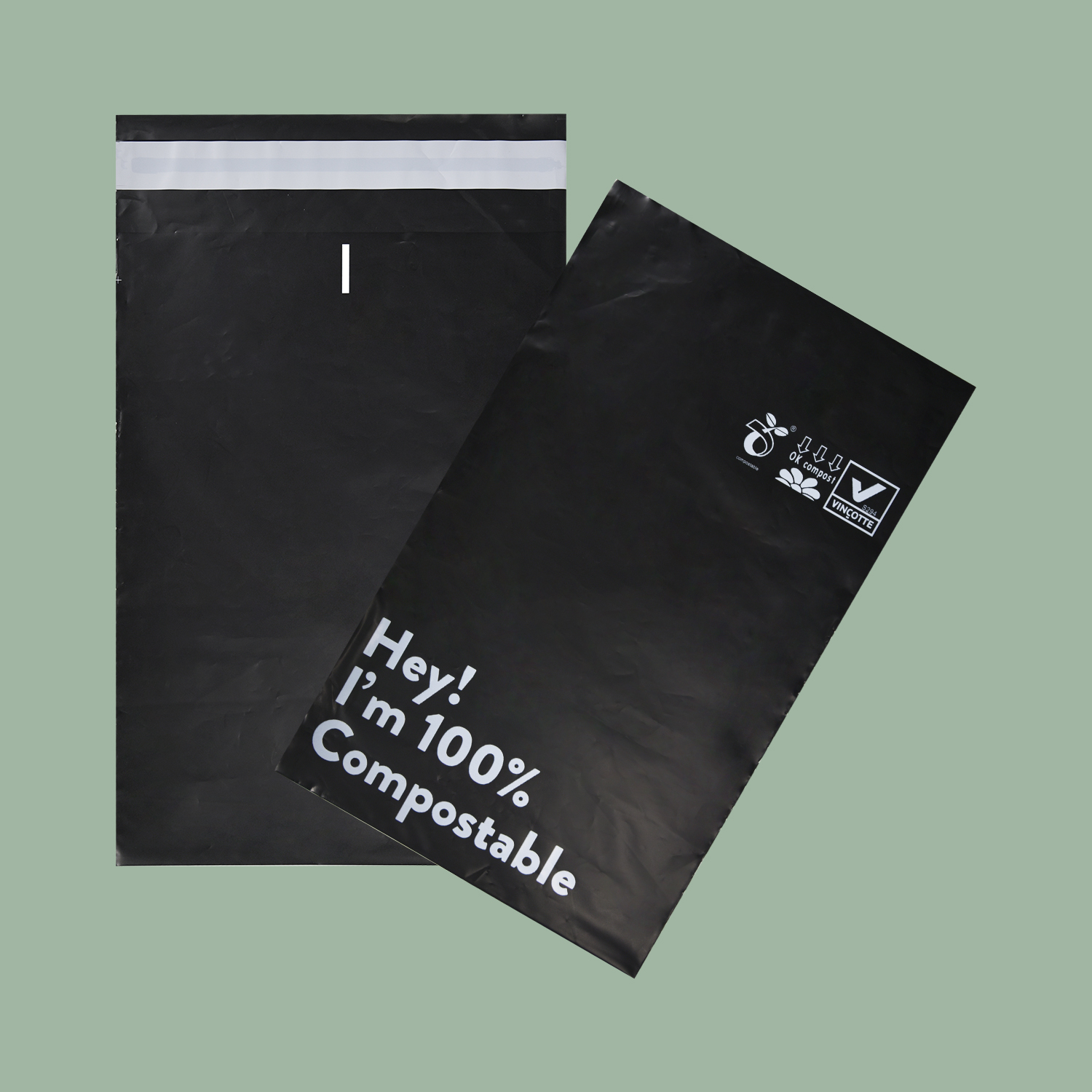 Clothing Product Hot Selling Biodegradable Mailing Bag