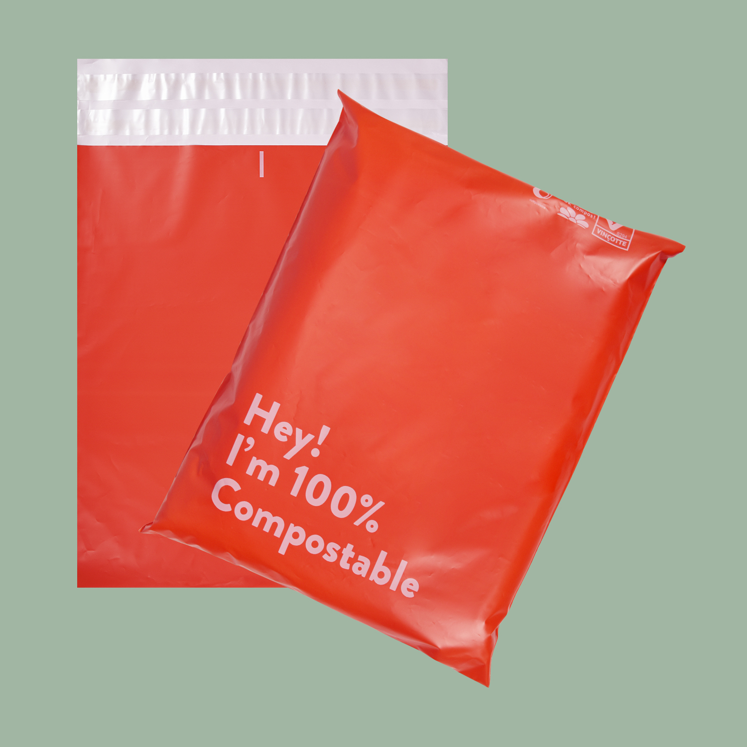 Self-adhesive Plastic Mailing Bag