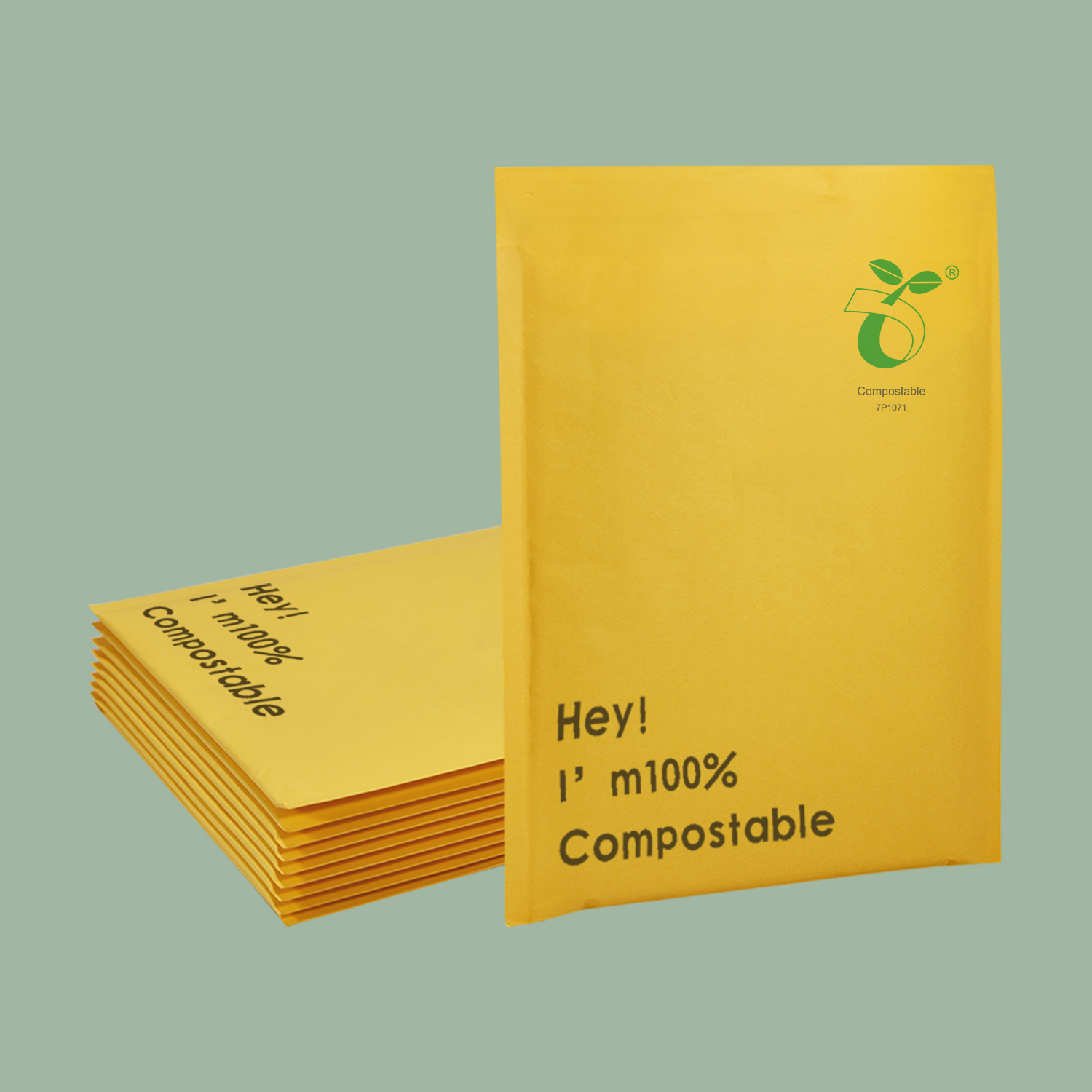 Kraft Paper Biodegradable Bubble Bag