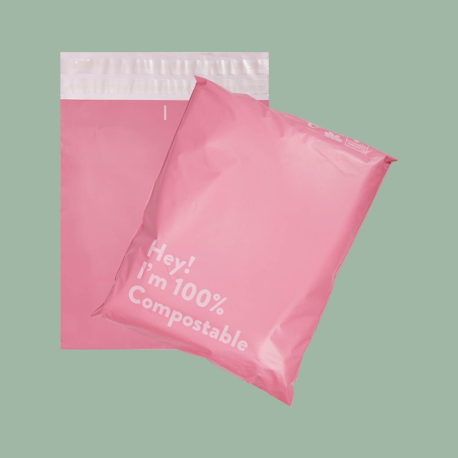 Hot-selling Biodegradable Mailing Bags