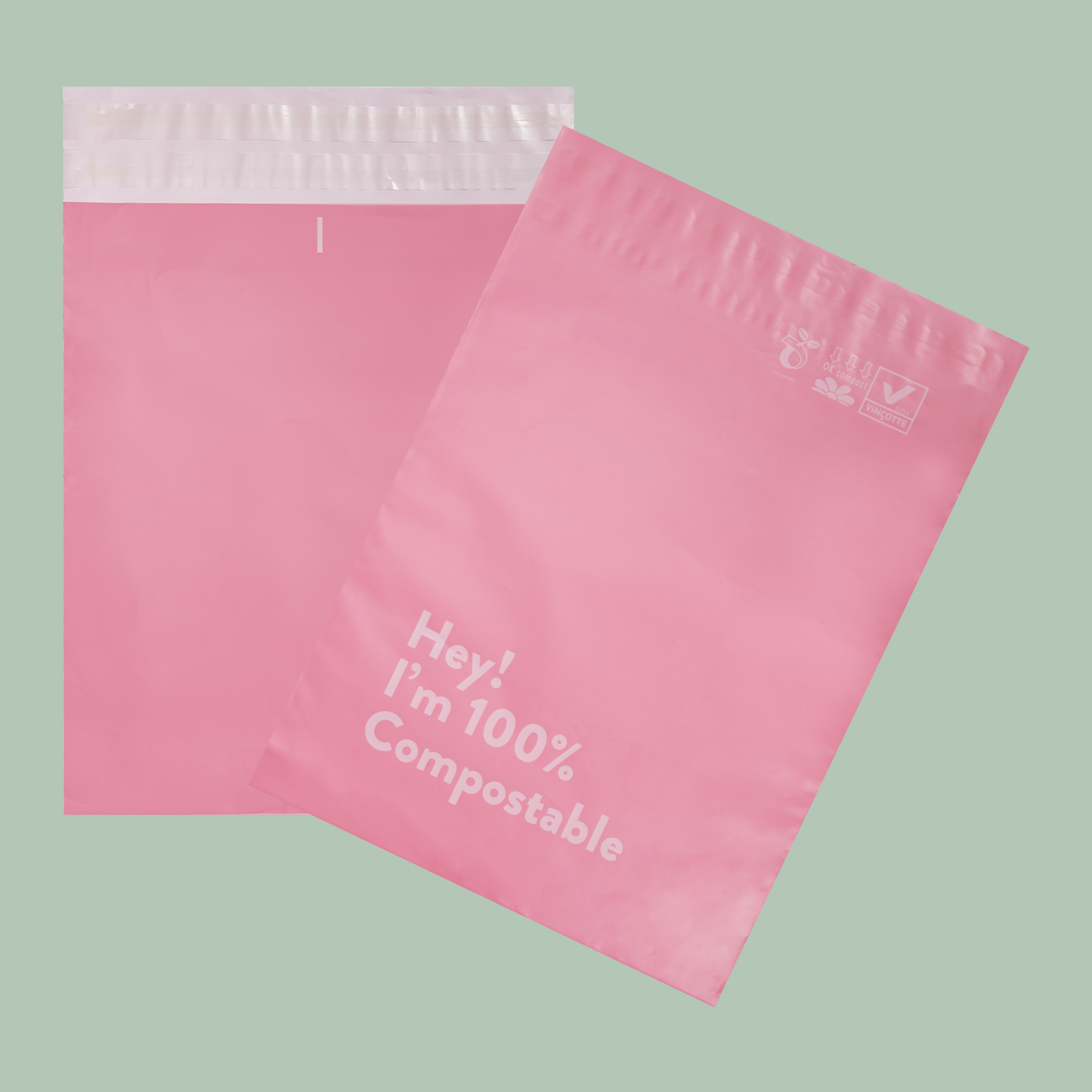 Hot-selling Biodegradable Mailing Bags