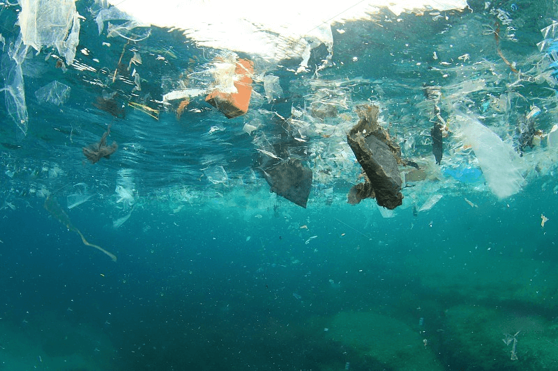 Why Eco Friendly Packaging Bags Are the Future 1 39203c887f04b10adc953dc0b210e20