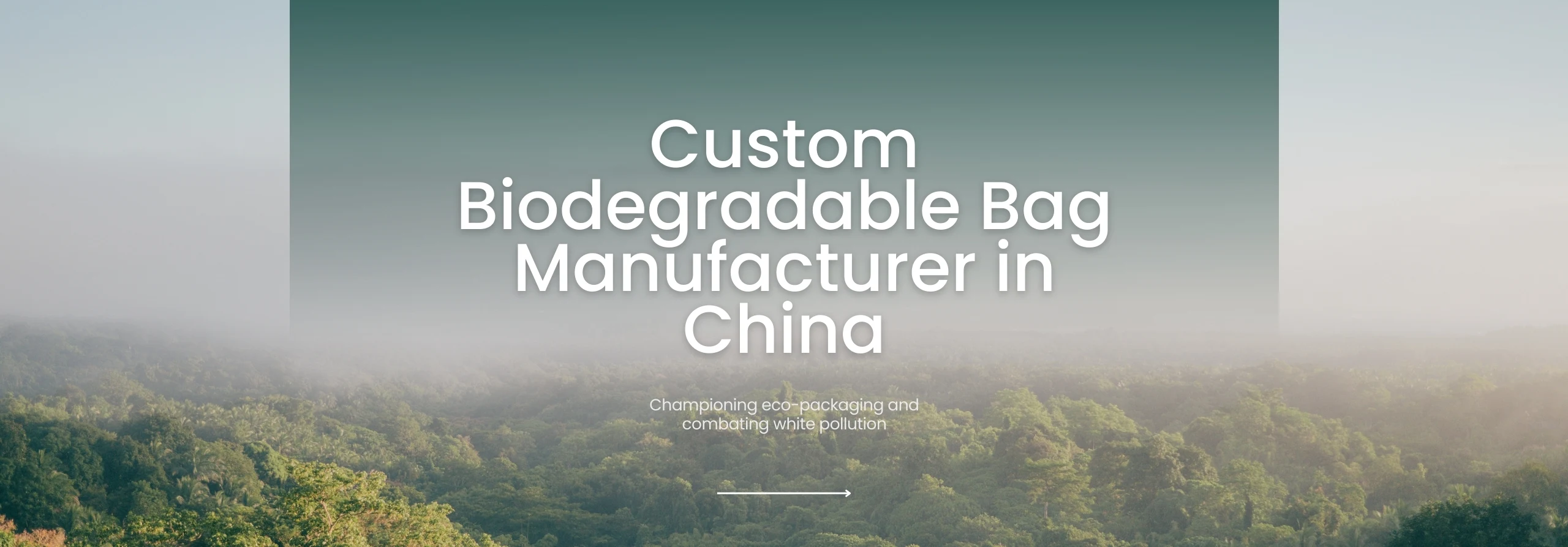 JXD Eco-packaging Bag