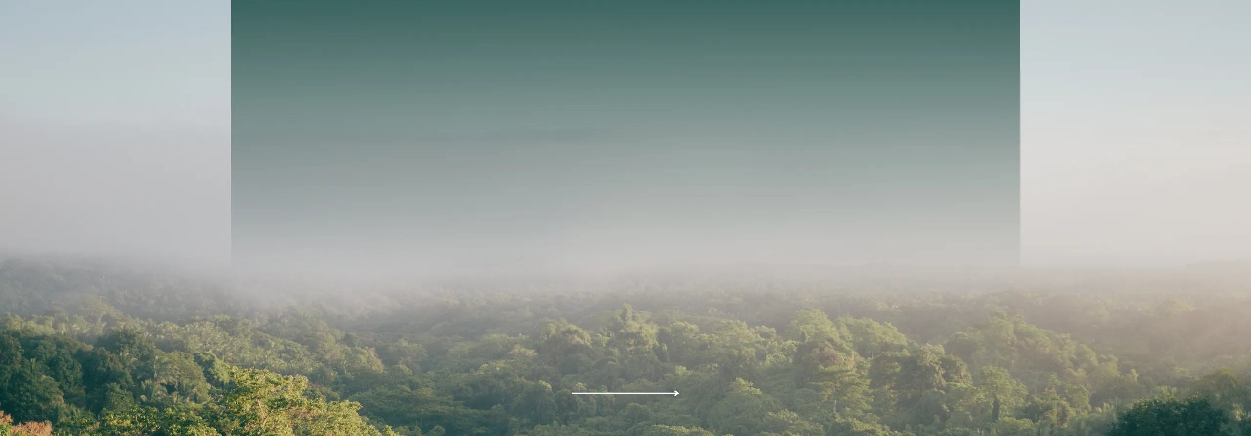 JXD Eco-packaging Bag