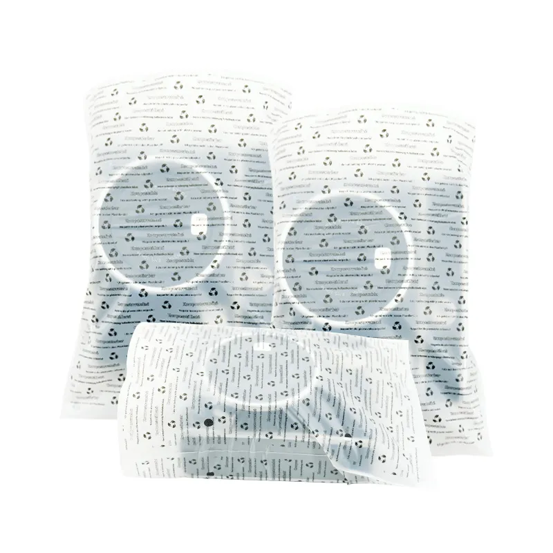 Film Cameras Biodegradable Bags