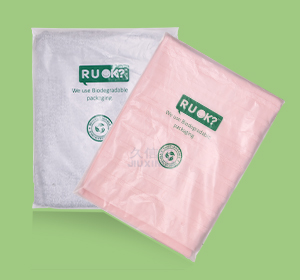 Custom Clothing Packaging Bags